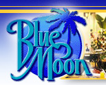 South Beach Florida accommodations Blue Moon Hotel