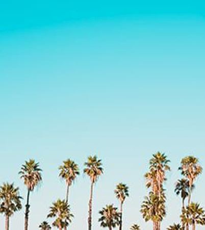sale-at-bluemoonhotel-florida
