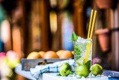 Mojito: The Official Cocktail of Miami