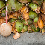 Coconut-Water-(miami)