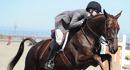 American Invitational